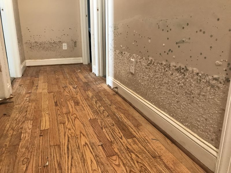 Picture related to professional smoke damage restoration https://images.vc/image/46d/remediation-fire-damage-fire_jzaahlo58.jpg