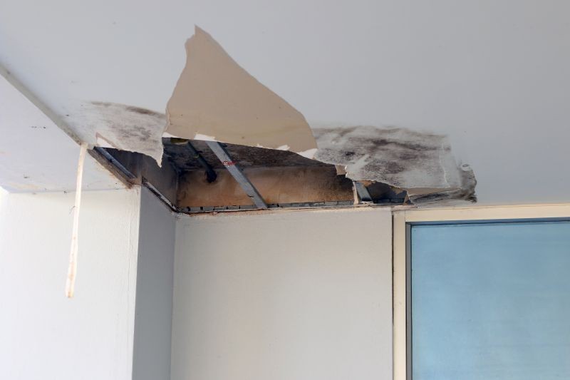 A Photo of ceiling water damage https://images.vc/image/46s/restoration-remediation-mold-water_z2nqg0eez.jpg