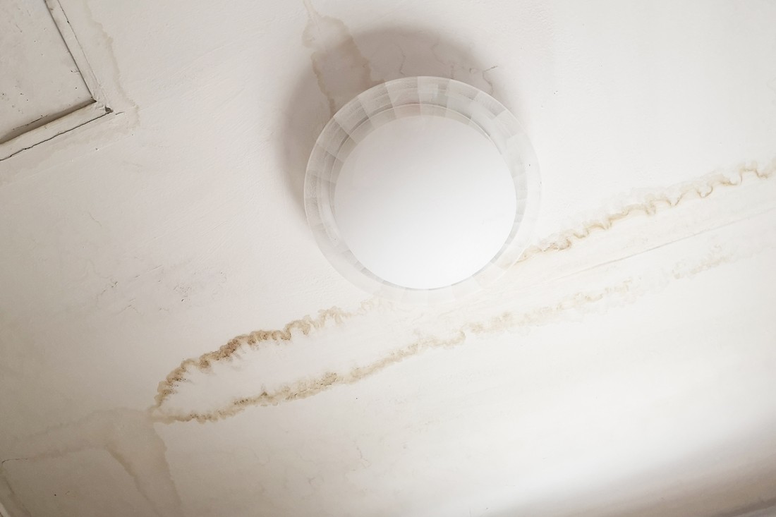 A Photo of mold removal services https://images.vc/image/4n7/Water_Damage_Restoration_49.jpg
