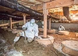 Check Out Crawl Space Pest Control https://images.vc/image/4yg/Crawlspace_Cleanup_(1).jpeg