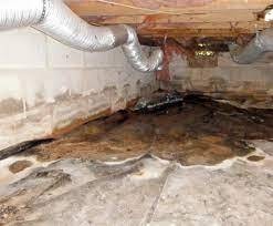 Check Out Crawl Space Decontamination https://images.vc/image/4yp/Crawlspace_Cleanup_(10).jpeg