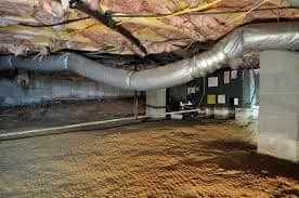 A Photo of Crawl Space Mold Removal https://images.vc/image/4z4/Crawlspace_Cleanup_(51).jpeg