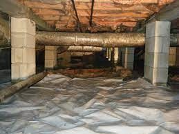 View Crawl Space Mold Removal https://images.vc/image/4zz/Crawlspace_Cleanup_(82).jpeg