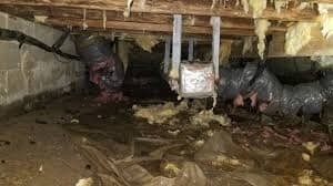 Check Out Crawl Space Air Quality Improvement https://images.vc/image/79Y/Crawlspace_Cleanup_(27).jpeg