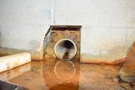A Photo of crawl space decontamination https://images.vc/image/7a7/Crawlspace_Cleanup_(36).jpeg