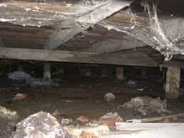 A Photo of Crawl Space Encapsulation https://images.vc/image/7aV/Crawlspace_Cleanup_(86).jpeg