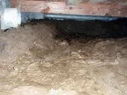 View Crawl Space Dehumidification https://images.vc/image/7aX/Crawlspace_Cleanup_(88).jpeg