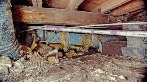 Check Out Crawl Space Ventilation https://images.vc/image/7ab/Crawlspace_Cleanup_(40).jpeg
