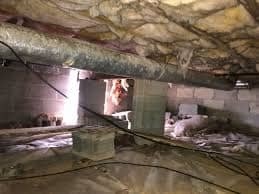 A Photo of Crawl Space Mold Removal https://images.vc/image/7ah/Crawlspace_Cleanup_(46).jpeg