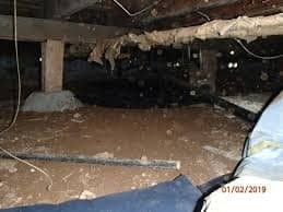 A Photo of Crawl Space Moisture Control https://images.vc/image/7b0/Crawlspace_Cleanup_(91).jpeg