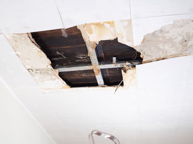 Check Out Residential Smoke Damage Cleanup https://images.vc/image/9it/fire-damage-damage-damage_54n20wga5.jpg